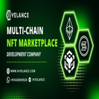 MultiChain NFT Marketplace Development Company